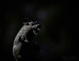 <br>Racine Erland<br>Halloween-Fall  Oct 17-31, 2024<br>Nightmare from the Dark