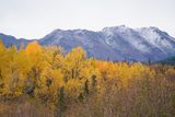 <br>Marilyn Jeffries<br>October 2024<br>The Final Burst Of Colour, Alaska<br>