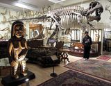 <br>Willie Harvie<br>December 2024<br>Hand of Man Museum