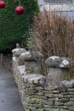 <br>Lynn Harnish<br>December 2024<br>Stone Schrooms
