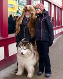 <br>Marilyn Jeffries<br>March 2025<br>Not Everyone Wears Their Bear Rug to Town<br>