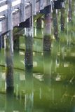 <br>Marilyn Jeffries<br>Theme Water - April 1-15, 2025<br>Reflections<br>