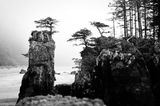 <br>Pam Dobbs<br>2025 June <br>London Drugs Canvas Print <br>Theme:  Canadian Identity<br>San Josef Sea Stacks<br>Winner