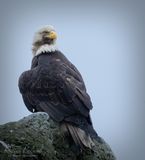 <br>Racine Erland<br> May 2025<br>Keeping Watch
