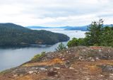 <br>Willie Harvie<br>June 2025<br>View from Stoney Hill