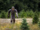 <br>Racine Erland<br>Shoot What Moves You<br>Field Trip - June 16-30, 2025<br>Is it really him???