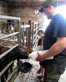 <br>Willie Harvie<br>August 2025<br>Bottle Feeding