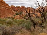 B007612.jpg