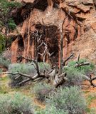 B007613.jpg