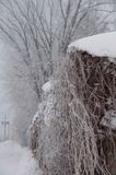 _DSC7053.jpg