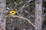 _DSC0481.jpg