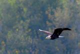 _DSC0446.jpg