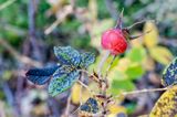 _DSC7902.jpg