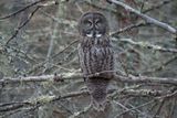 DSC_9023.jpg