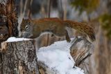 _DSC1072.jpg