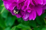 _DSC3288.jpg