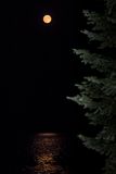 _DSC3604-4.jpg