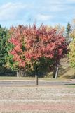 DSC_2444.jpg