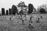 DSC_2736.jpg
