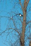 DSC_5079.jpg