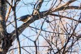 DSC_5093.jpg
