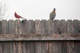 _D703379.jpg
