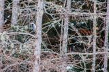 DSC_5220.jpg