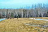 _DSC4372.jpg