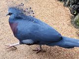 20230610_103351.jpg