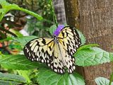 20230610_103817.jpg