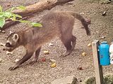 20230610_135045.jpg