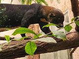 20230610_140223.jpg