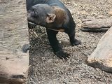 20230610_140503.jpg