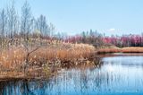 SB_Parc des tangs-Antoine-Charlebois