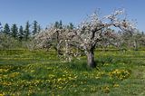 MA_DSC_5271.jpg