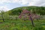 MA_DSC_5382.jpg