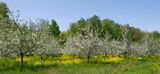 MA_DSC_5420.jpg