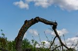 RA_DSC_9869.jpg