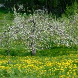 RA_DSC_9887.jpg