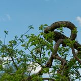 RA_DSC_9893.jpg