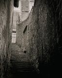 Neuchtel - 1979 (16 x 20 - Portrait)