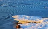 Lumire glace et Frissons_DL IMG_2581 copie 2 PB.jpg 20 X 16
