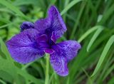 DL_IMG_8573 copie PB.jpg