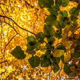 SB_T4D0207