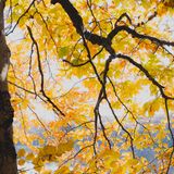 PD-MontSt-Bruno-18.jpg