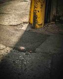 05- Rencontre du 20 janvier 2025-7.jpg