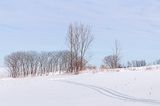 SB_T5A0069