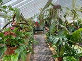 West Dean Tropical Greenhouse