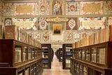 Biblioteca comunale dellArchiginnasio