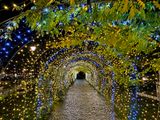 Christmas Decoration 